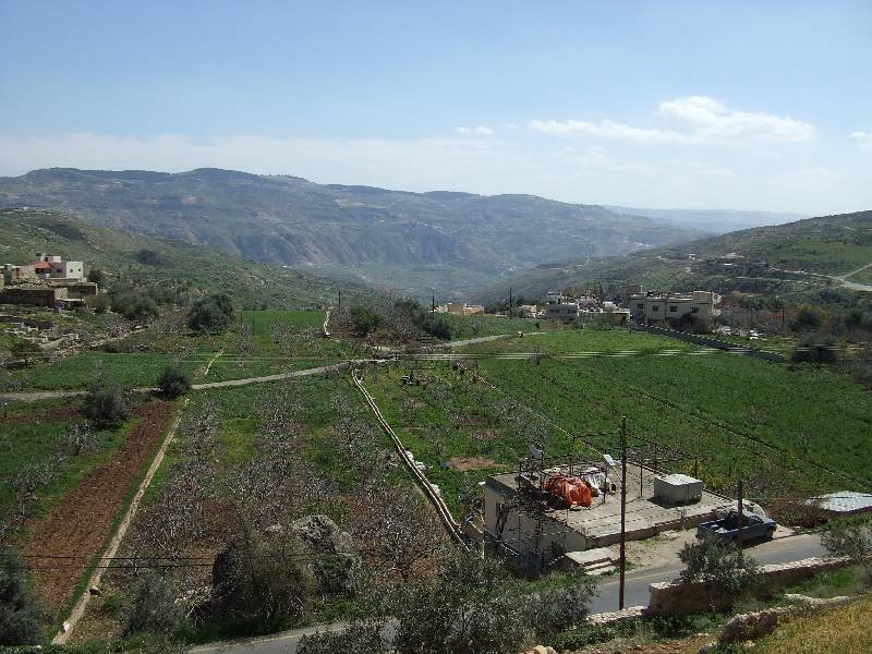 Wadi es Sir Tal (6) 